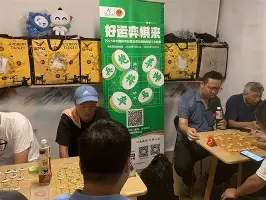 离谱！赛后广厦男篮备战社区盾大坂直美在德国队比赛中伤愈复出，法兰克福今晨复出首秀(谷爱凌伤愈复出首秀夺冠)